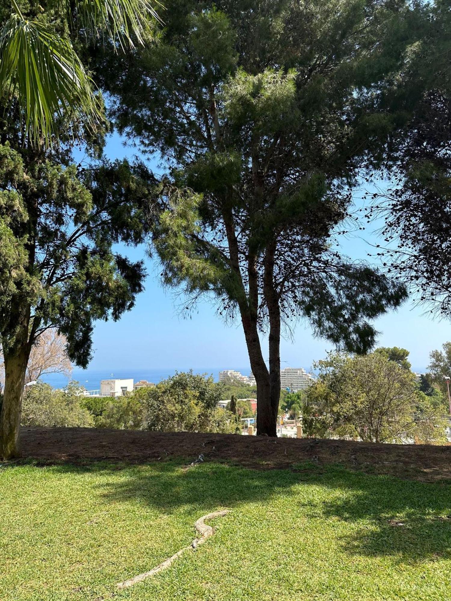 Benalmadena Gamonal Leilighet Málaga Eksteriør bilde